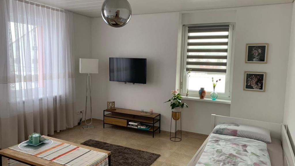 Grenznahe Ferienwohnung Mit 4 Schlafzimmern Grenzach-Wyhlen Exterior foto